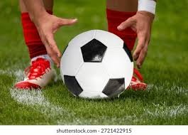 乐天桃猿在 2025 台湾大赛第五战凭借林泓育的再见本垒打，夺得乐天接手后首座总冠军