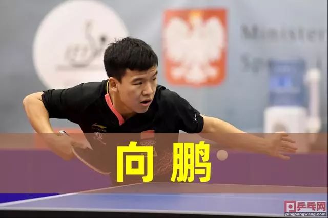 美国女子公 美国女子公