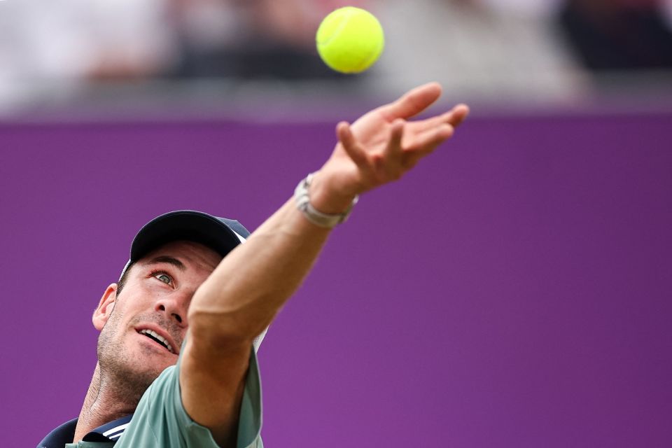 尤其是在新 尤其是在新